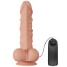 Baile - Belle Rencontre Buraq Vibration 24 Cm Naturel